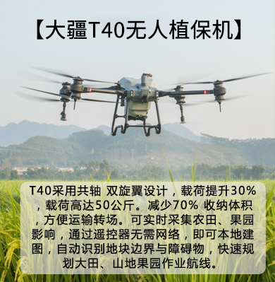 &#20048;&#31454;&#23448;&#32593;&#45;&#20048;&#31454;&#40;&#20013;&#22269;&#41;&#19968;&#31449;&#24335;&#20307;&#32946;&#26381;&#21153;
